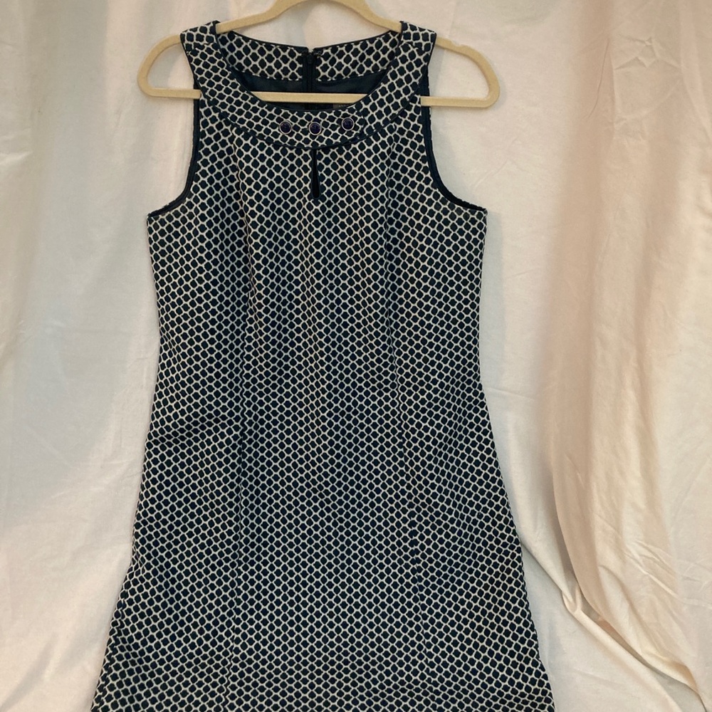 Ann Taylor Teal and White Dress